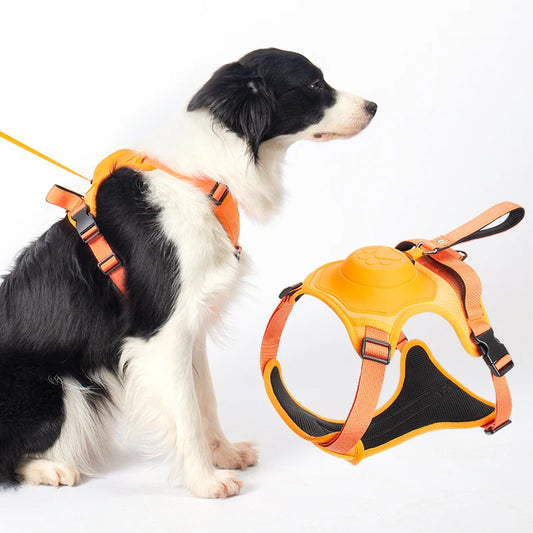 SecureFit Dog Harness & Leash