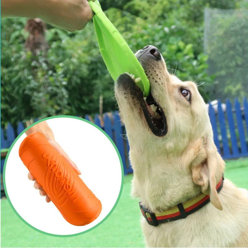 Interactive Flying Disk  Training Pet Toy