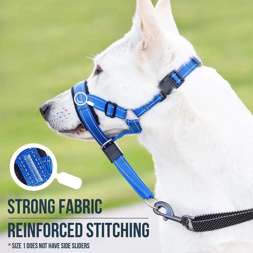 Nylon Reflective Dog Muzzle with Leash