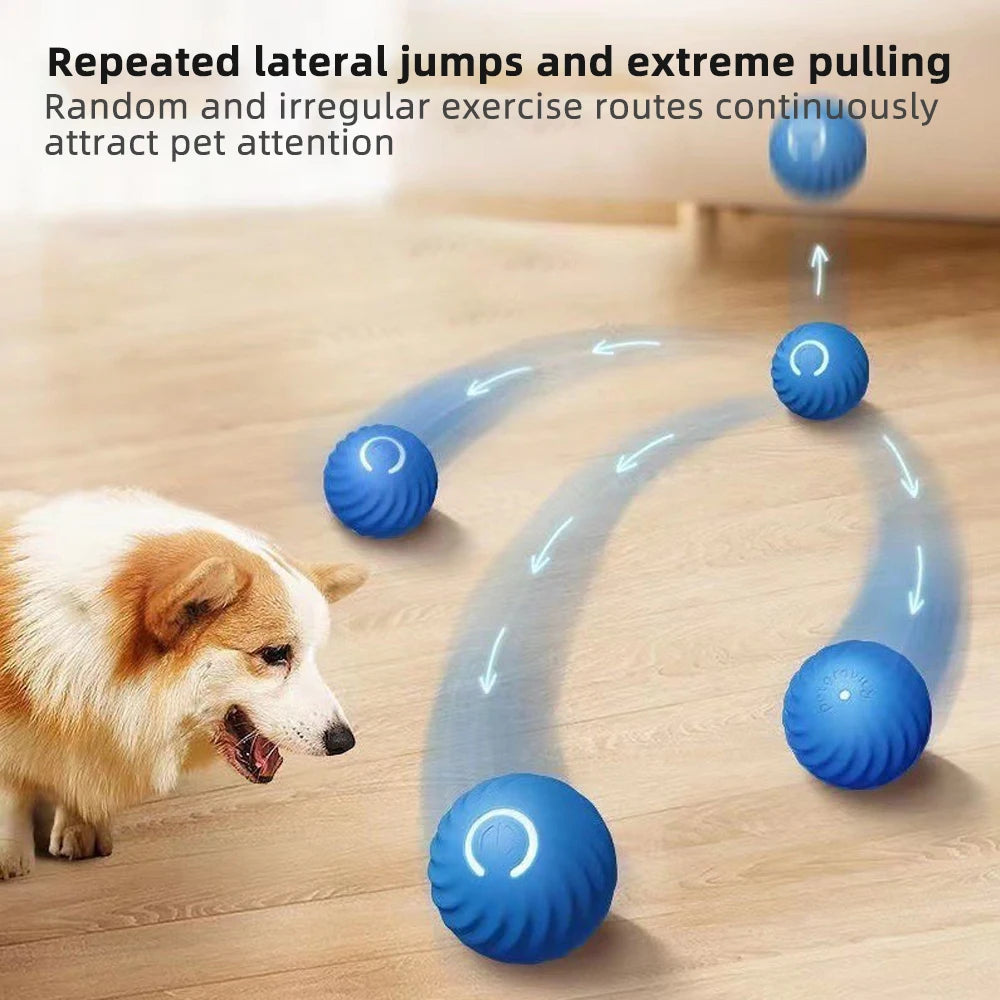 Smart Dog Toy Ball - For Small and Medium-sized Dogs, Cats