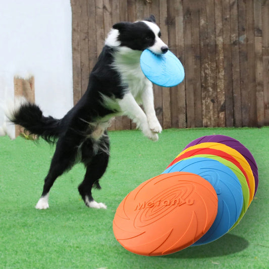 Interactive Flying Disk  Training Pet Toy