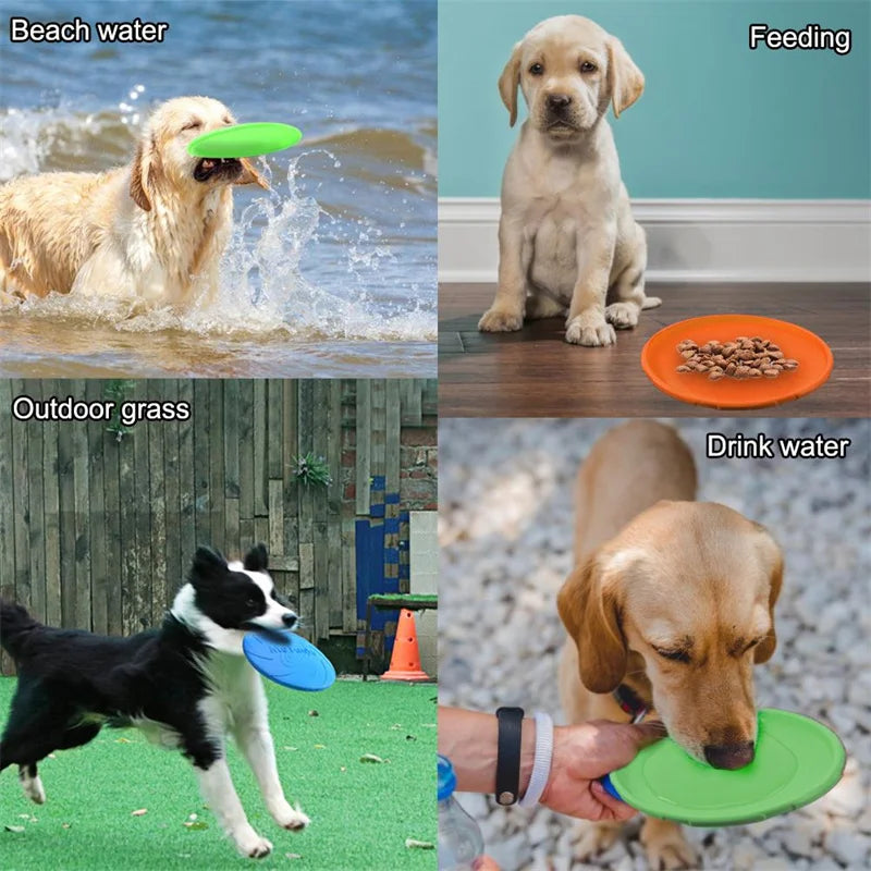 Interactive Flying Disk  Training Pet Toy