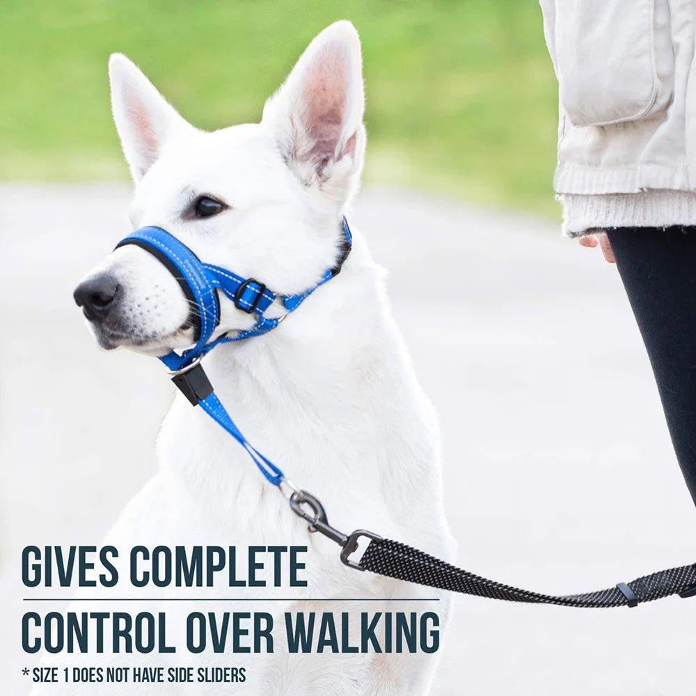 Nylon Reflective Dog Muzzle with Leash