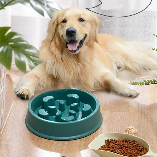 Slow eating Dog Food Bowl - Help Your Pets Eat Healthier