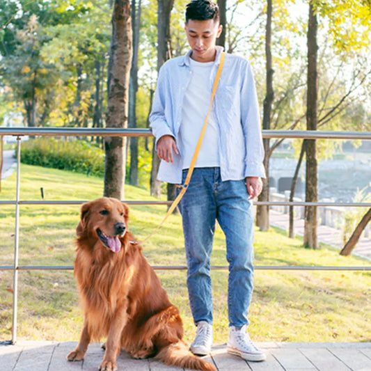 Hands Free Dog Leash - Enjoy Hands-Free Jogging with Your Dog!