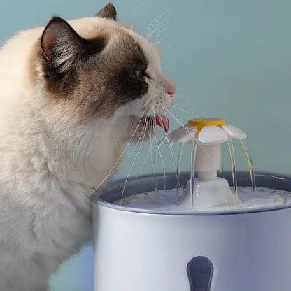 Smart Pet Water Fountain: Keep Your Furry Friend Hydrated